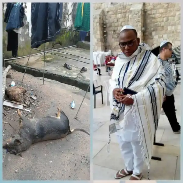 See Photo Of Nnamdi Kanu